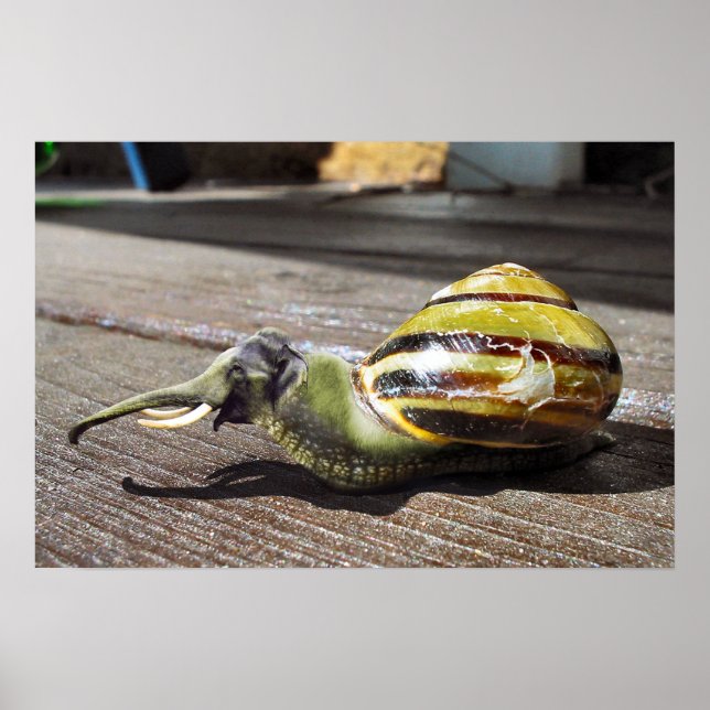 Poster Snailephant (Devant)