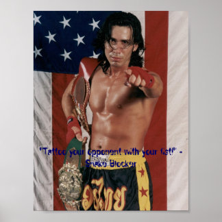 Poster Snake Blocker (Snakeism 68)