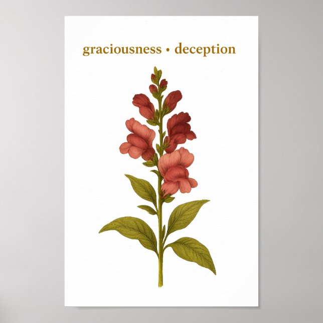 Poster Snapdragon — Gracité, tromperie (Devant)