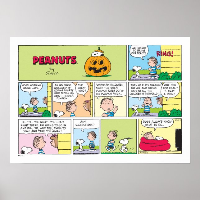 Poster Snoopy & Linus | Les grandes nouvelles Citrouilles (Devant)