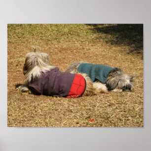 Poster Snoozing à Nong Khai