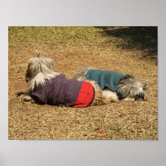 Poster Snoozing à Nong Khai (Devant)