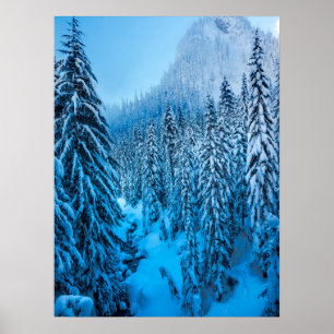 Poster Snoqualmie Pass, État de Washington.