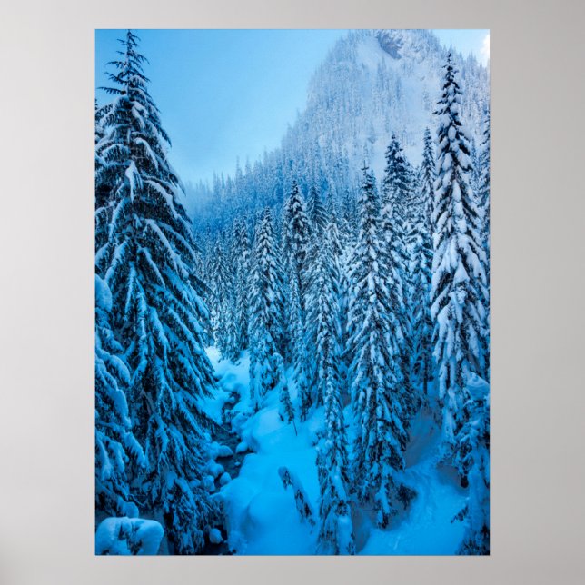 Poster Snoqualmie Pass, État de Washington. (Devant)