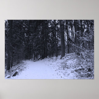 Poster Snow Covered Hiking Trail 2