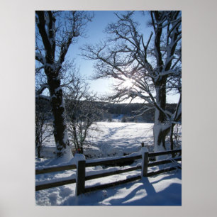 Poster Snow Trail