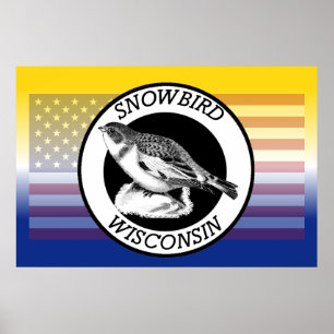 Poster Snowbird