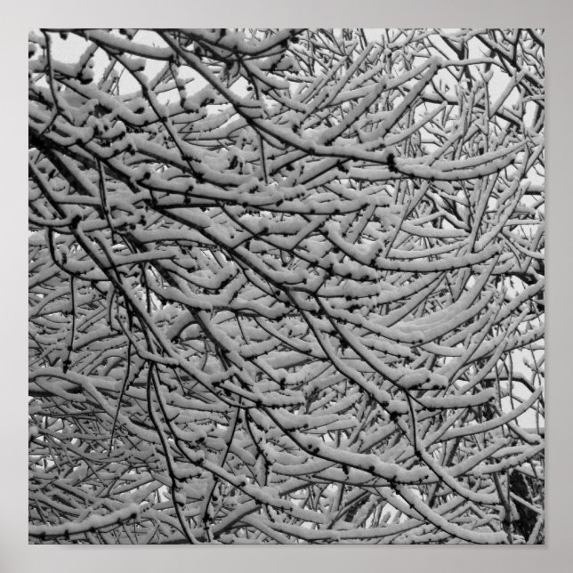 Poster Snowfall Shreveport (Devant)