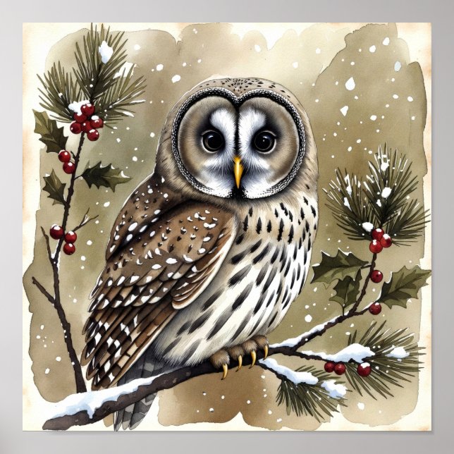Poster Snowy Owl on Holly Branch Watercolor Christmas (Devant)