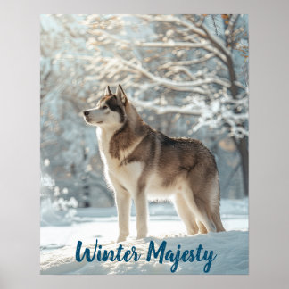 Poster Snowy Sentinel : Alaskan Malamute Majesty