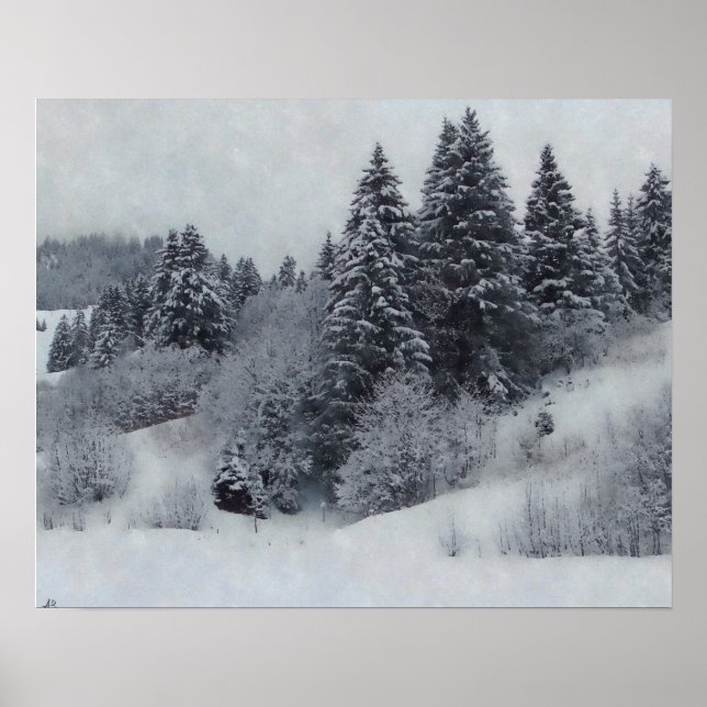 Poster Snowy Woods (Devant)