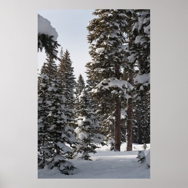 Poster Snowy Woods (Devant)