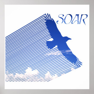 Poster Soar