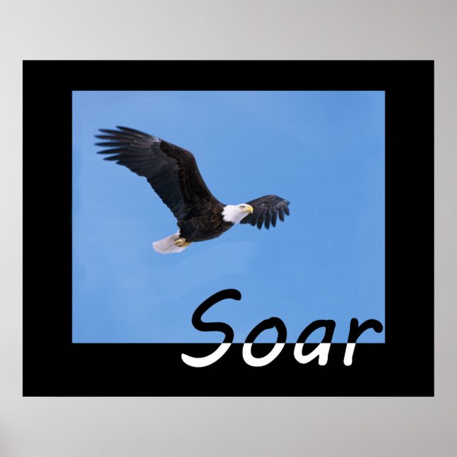 Poster Soar (Devant)