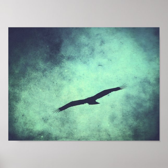 Poster Soar (Devant)