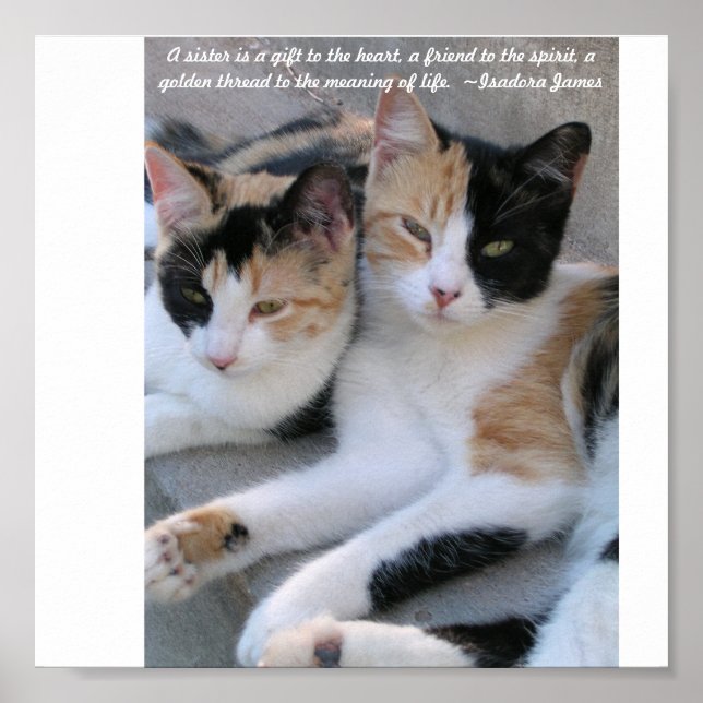 Poster Soeurs (Devant)