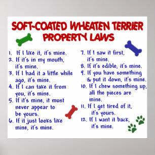 POSTER SOFT-COATED TERRIER BLOND COMME LES BLÉS PL2