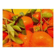 Soft Orange Fruit Aesthétique