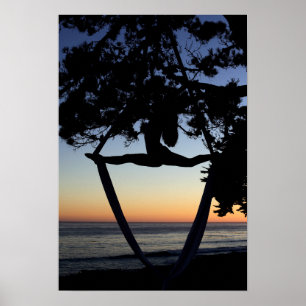 Poster Soies aériennes à la verticale de coucher du