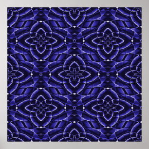 Poster Soigner les succulents......