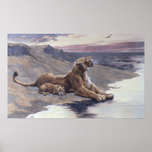 Poster Soin maternel