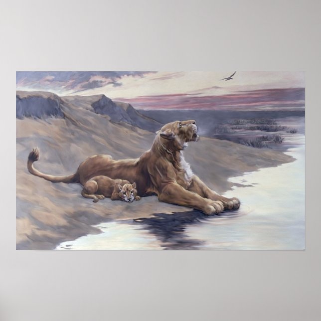 Poster Soins maternels (Devant)