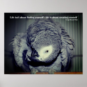 Poster Sois toi-même mignon Parrot Citation Inspirationne