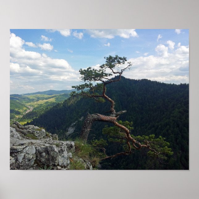 Poster Sokolica, Pieniny (Devant)