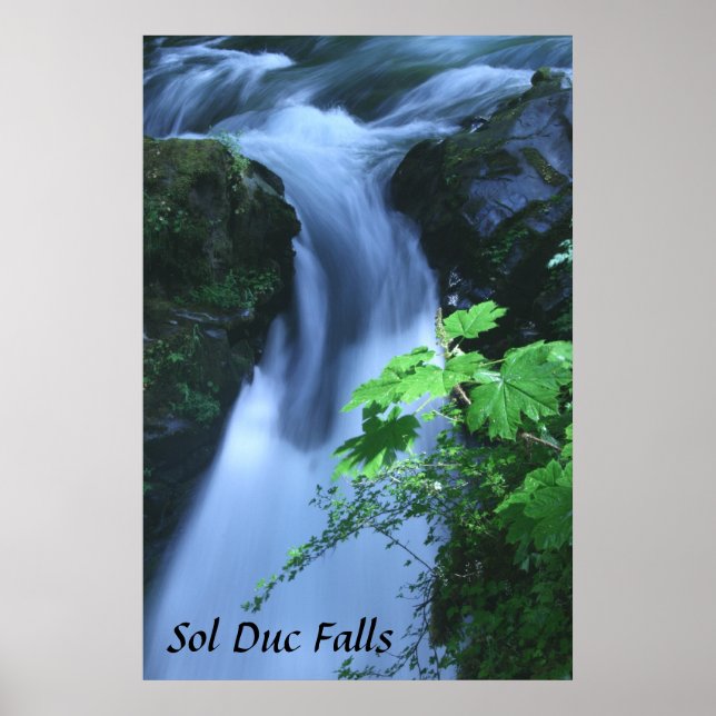 Poster : Sol Duc Falls (Devant)