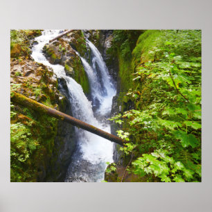 Poster Sol Duc Falls I au parc national Olympique