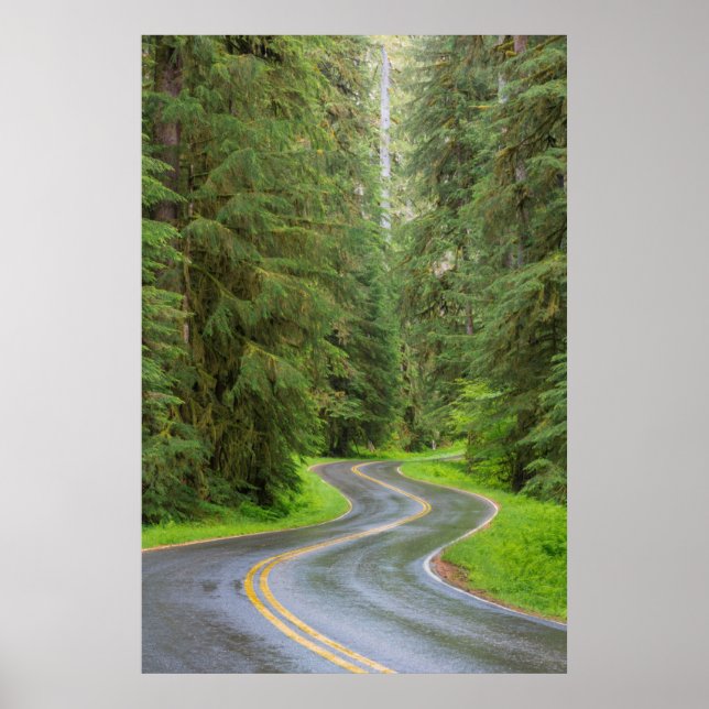 Poster Sol Duc River Road à travers la forêt (Devant)