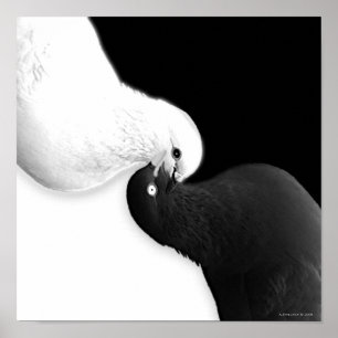 Poster Solde par B & BB