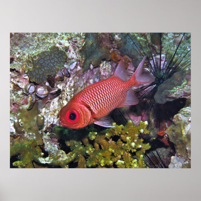 Poster Soldière (Devant)