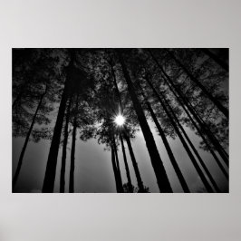 Poster Soleil,