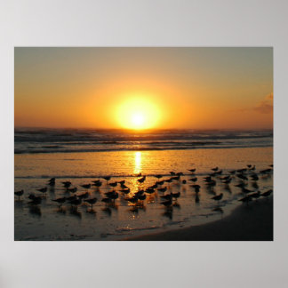 Poster Soleil