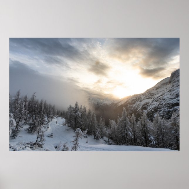 Poster Soleil brillant dans un paysage hivernal époustouf (Devant)