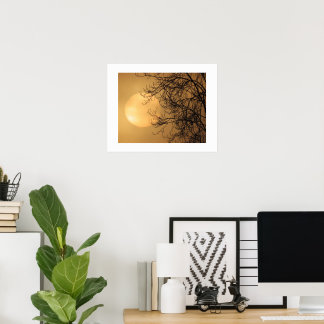 Poster Soleil de début de matinée 