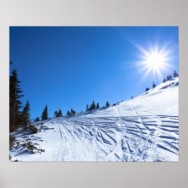 Poster Soleil d'hiver 4 (Devant)