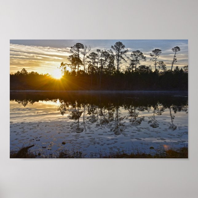 Poster Soleil du lac Galliard, Audubon Bird Sanctuary (Devant)
