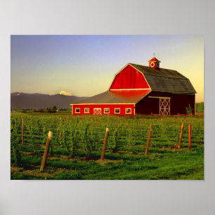 Poster Soleil du soir dans une grange à Skagit à Washingt