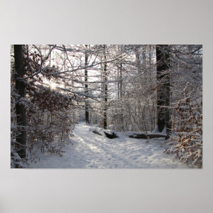 Poster Soleil et froid