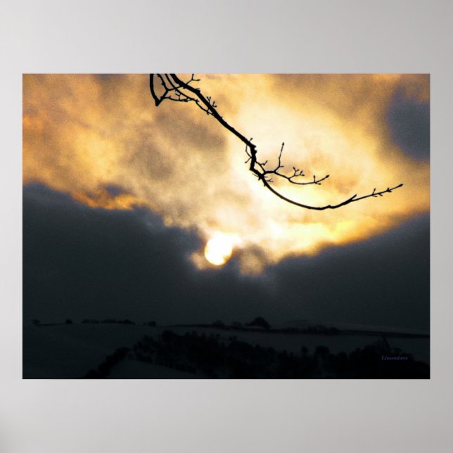 Poster Soleil hivernal (Devant)