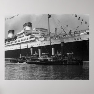 Poster Solides solubles Rex