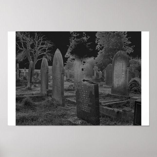 Poster Solorisé (Devant)