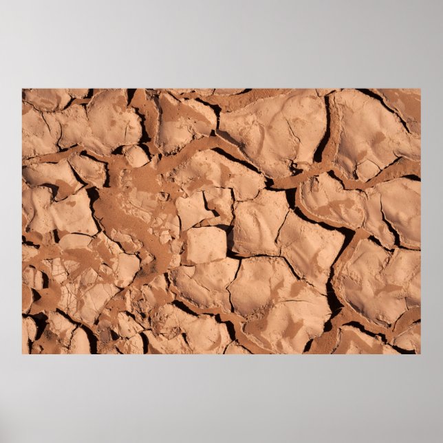 Poster sols Brown (Devant)