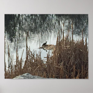 Poster Solstice d'hiver