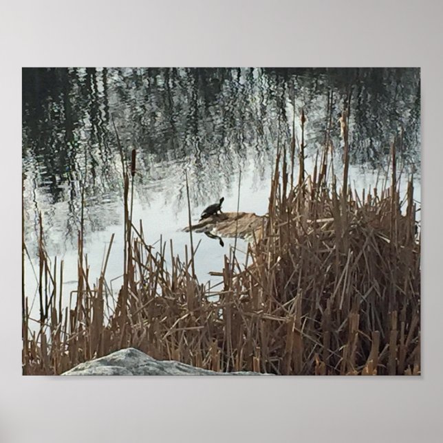 Poster Solstice d'hiver (Devant)