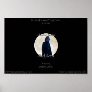 Poster Sombre secret