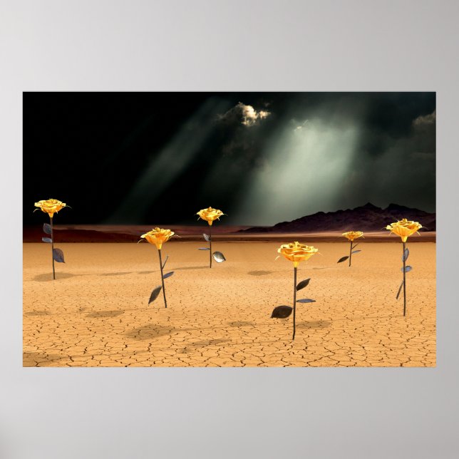 Poster Somewhere No. 3 (Devant)