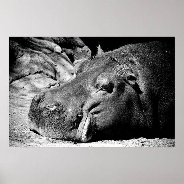 Poster Sommeil (Devant)